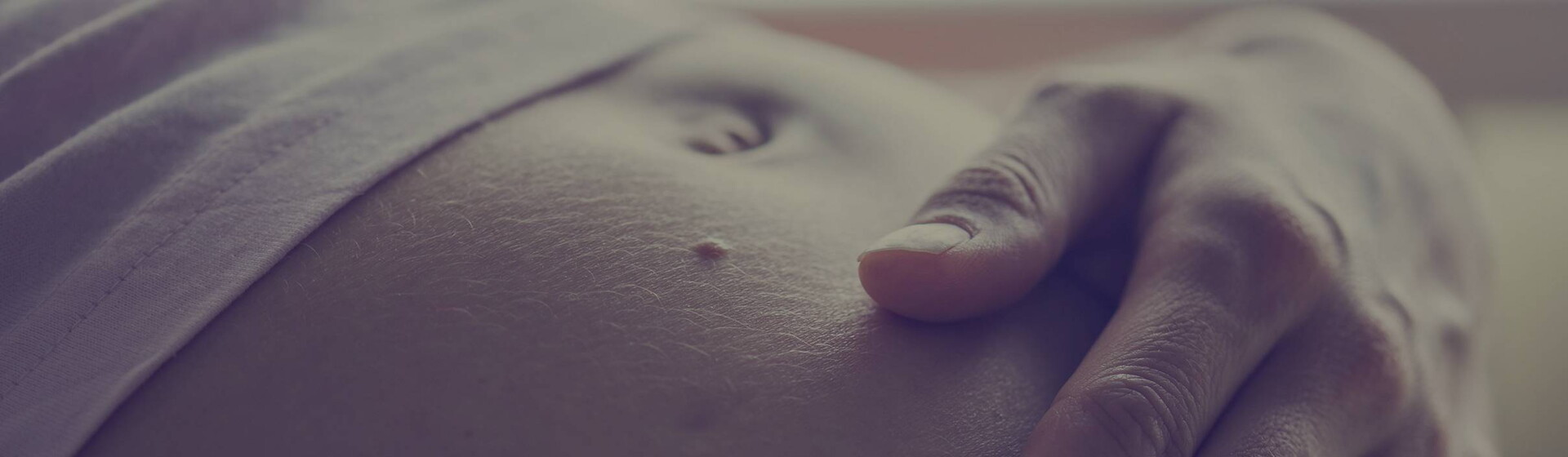 Conoce quiénes somos